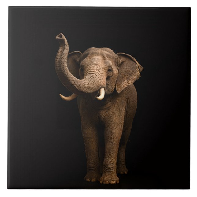 Azulejo Black 4 Luxe Tile with Mighty Elephant (Frente)