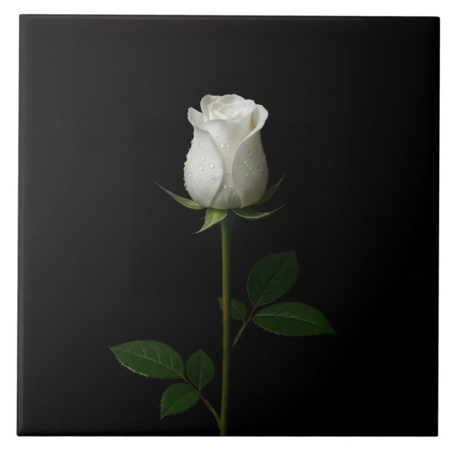 Azulejo Black 4 Luxe Tile with Pure White Rose (Frente)