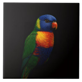 Azulejo Black 4 Luxe Tile with Rainbow Lorikeet Parrot