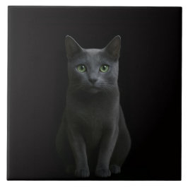 Azulejo Black 4 Luxe Tile with Russian Blue Cat