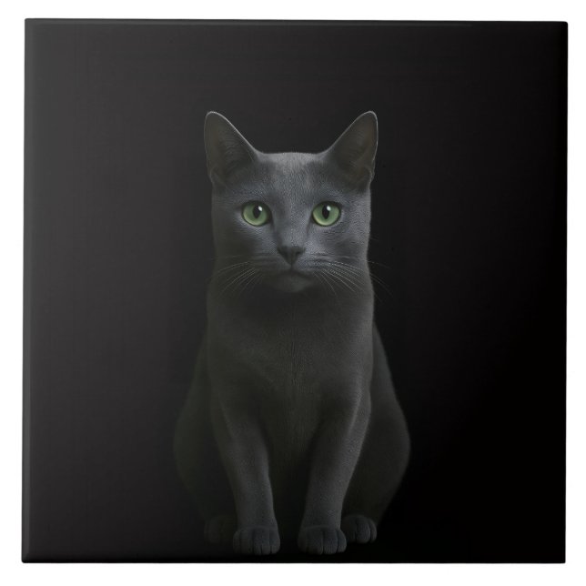 Azulejo Black 4 Luxe Tile with Russian Blue Cat (Frente)