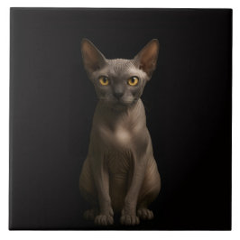 Azulejo Black 4 Luxe Tile with Sphynx Cat