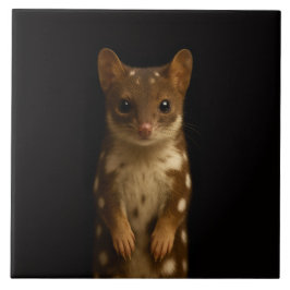 Azulejo Black 4 Luxe Tile with Sweet Quoll