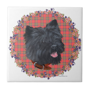 Azulejo Black Cairn Head Study