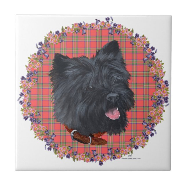 Azulejo Black Cairn Head Study (Frente)