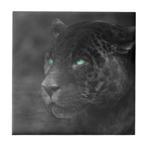 Azulejo Black Jaguars Emerald Gaze