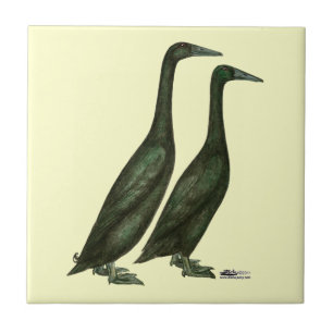 Azulejo Black Runner Ducks