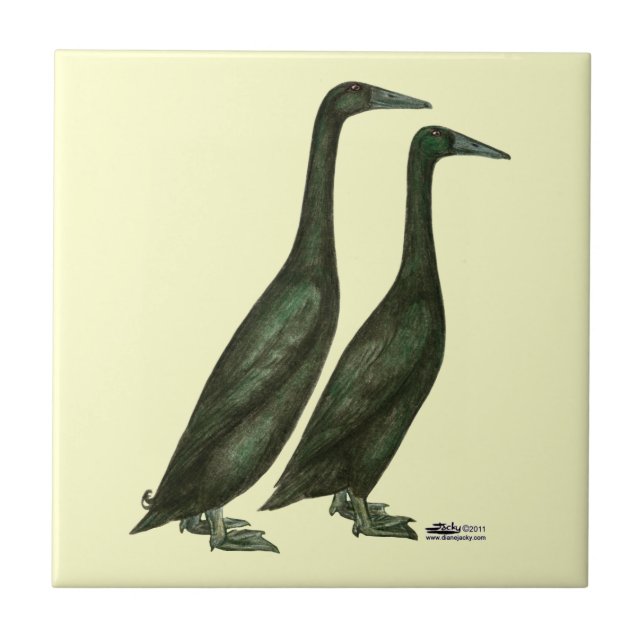Azulejo Black Runner Ducks (Frente)