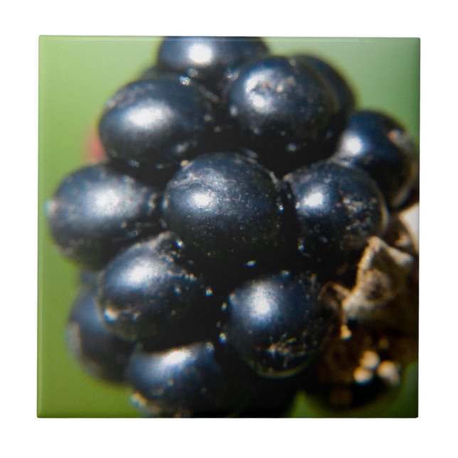Azulejo Blackberries (Frente)