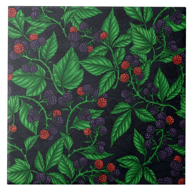 Azulejo Blackberries sobre gris oscuro (Frente)