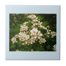 Azulejo Blackberry Bloom