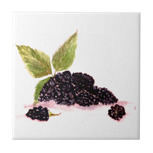 Azulejo Blackberry Bramble blackberries frutales acuarela (Frente)