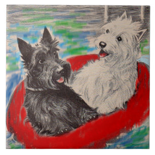 Azulejo Blackie y Whitie en una balsa