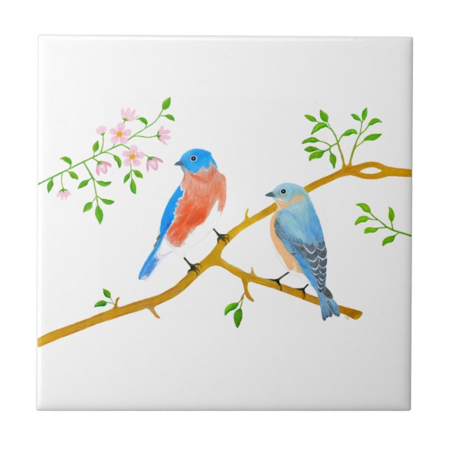 Azulejo Blanco de Cerámica de Azulejos de Pájaros  (Frente)