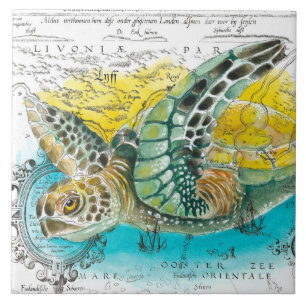 Azulejo Blanco del mapa de cosechas de color de la tortuga