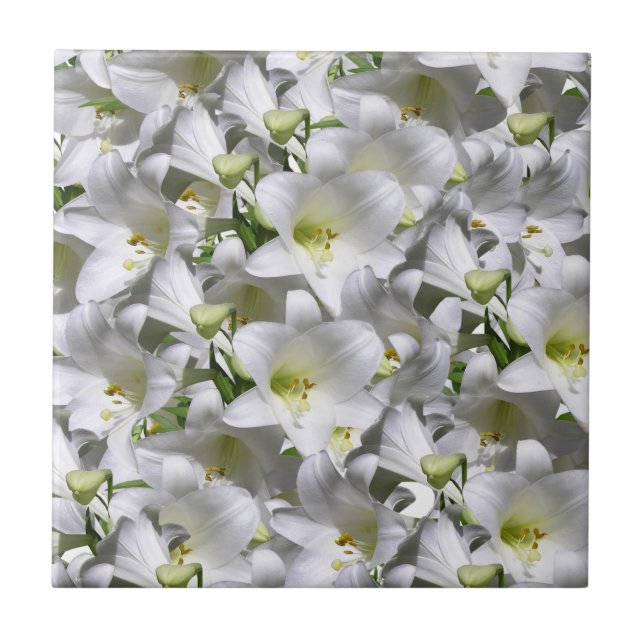 Azulejo Blanco Floral (Frente)