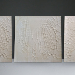 Azulejo Blanco Minimalista con Revestimiento Falso