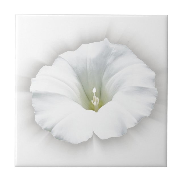 Azulejo blanco y gris (Frente)