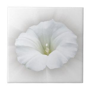 Azulejo blanco y tonos grises