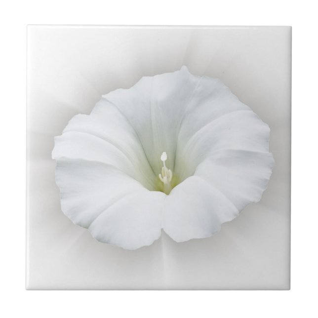 Azulejo blanco y tonos grises (Frente)