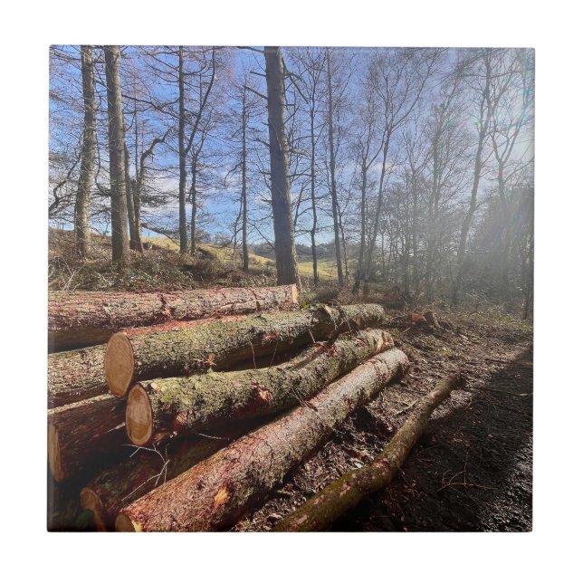 Azulejo Blogs rurales... (Frente)