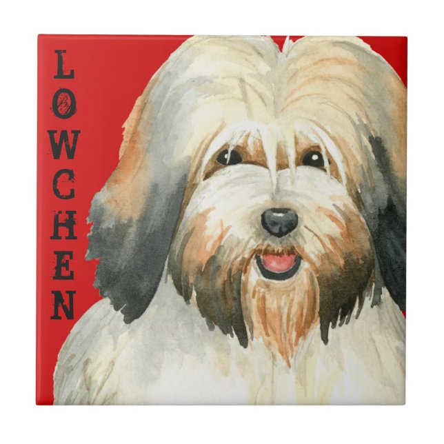 Azulejo Bloque de color inferior (Frente)