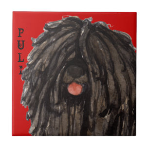 Azulejo Bloque del color de Puli