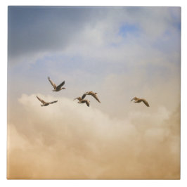 Azulejo Bloqueo de aves en vuelo