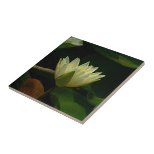 AZULEJO "BLOSSOM DE LOGRO AMARILLO PÁLIDO" BALDOSAS/TRIVET