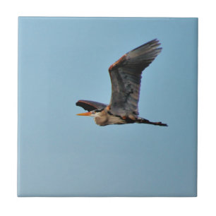 Azulejo Blue Heron