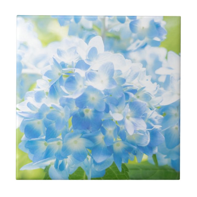 Azulejo Blue Hydrangea (Frente)