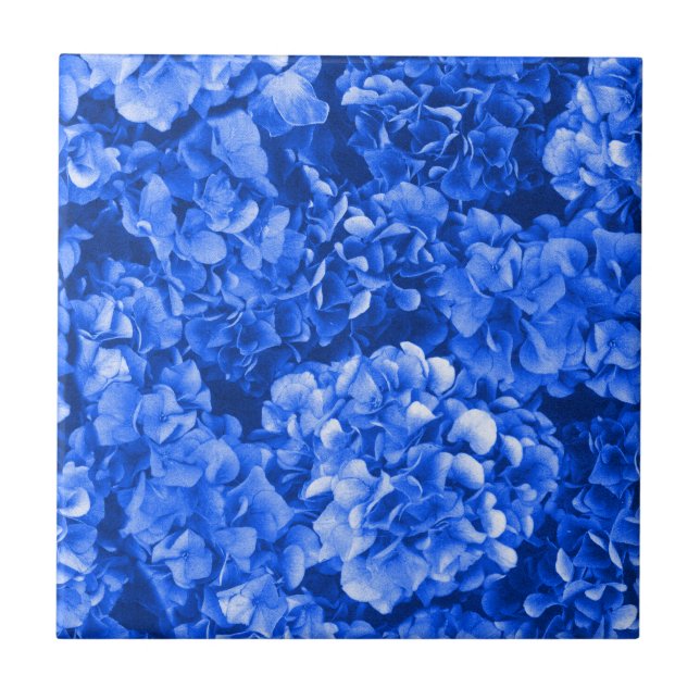 Azulejo Blue Hydrangea Ceramic Tile (Frente)