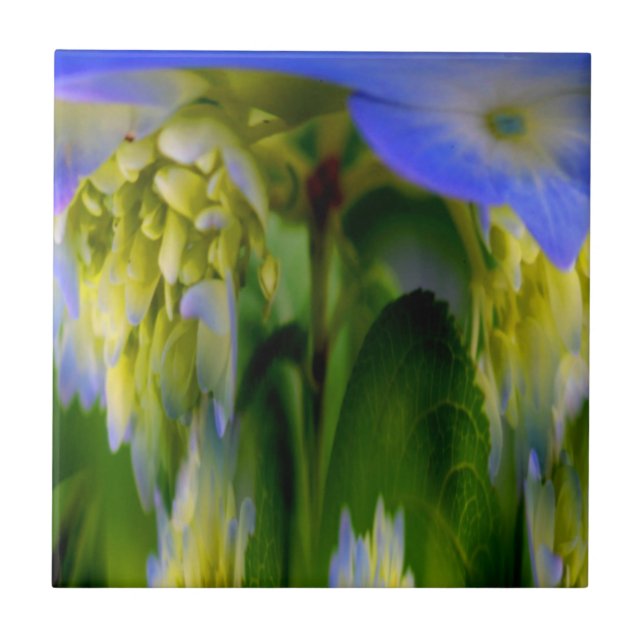 Azulejo Blue Hydrangea Floral Abstroral Art Tile (Frente)