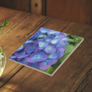 Azulejo Blue Hydrangea Petals Floral