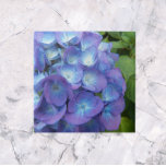 Azulejo Blue Hydrangea Petals Floral<br><div class="desc">Baldosa cerámica que muestra la foto de pétalos de flores de Mophead Hydrangea azul con follaje verde. ¡Un bonito diseño floral! Seleccione su tamaño de mosaico. ¡Hace un gran trivet de cocina!</div>