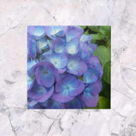 Azulejo Blue Hydrangea Petals Floral