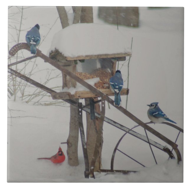 Azulejo Blue Jays at Breakfast (Frente)