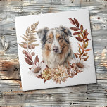 Azulejo Blue Merle Australian Shepherd Dog Otumn Wreath<br><div class="desc">Un hermoso retrato acuarela de un perro pastor australiano de merle azul se sitúa en el centro de una corona de otoño de bonito en tonos marrones,  canela y crema. Todo está colocado sobre un fondo blanco.</div>