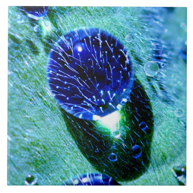 Azulejo Blue Raindrop Water Pearls Photo - Cerámica Quadra (Frente)