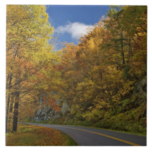 Azulejo Blue Ridge Parkway curvando a través de colores de