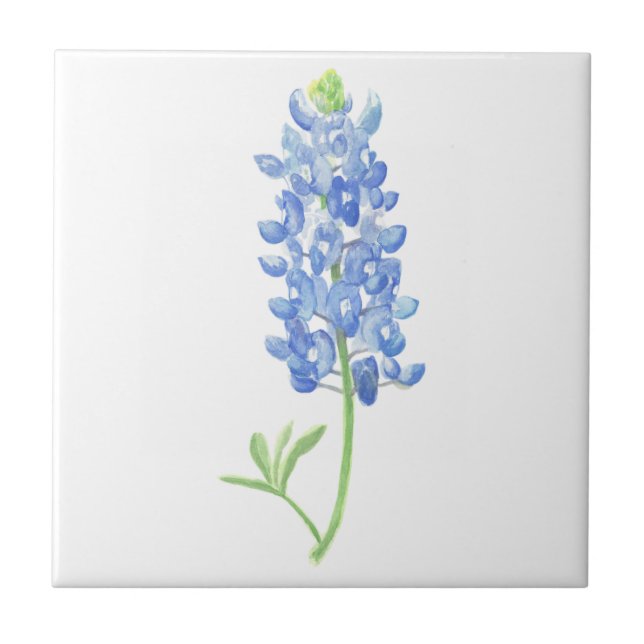 Azulejo Bluebonnet (Frente)