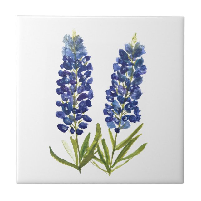 Azulejo Bluebonnets Texas State Flowers Lupine Watercolor  (Frente)