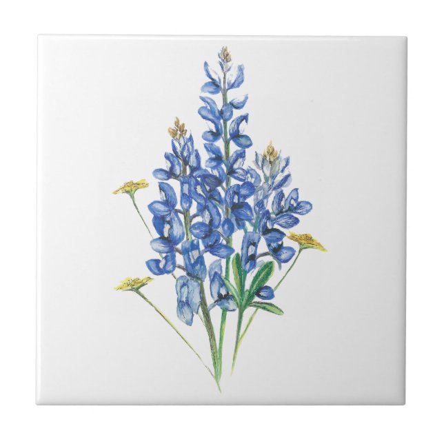 Azulejo Bluebonnets y Wildflowers (Frente)