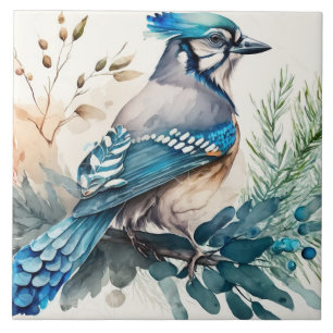 Azulejo Bluejay En Una Subdivisión De La Acuarela