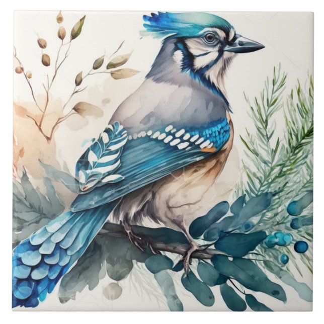 Azulejo Bluejay En Una Subdivisión De La Acuarela (Frente)