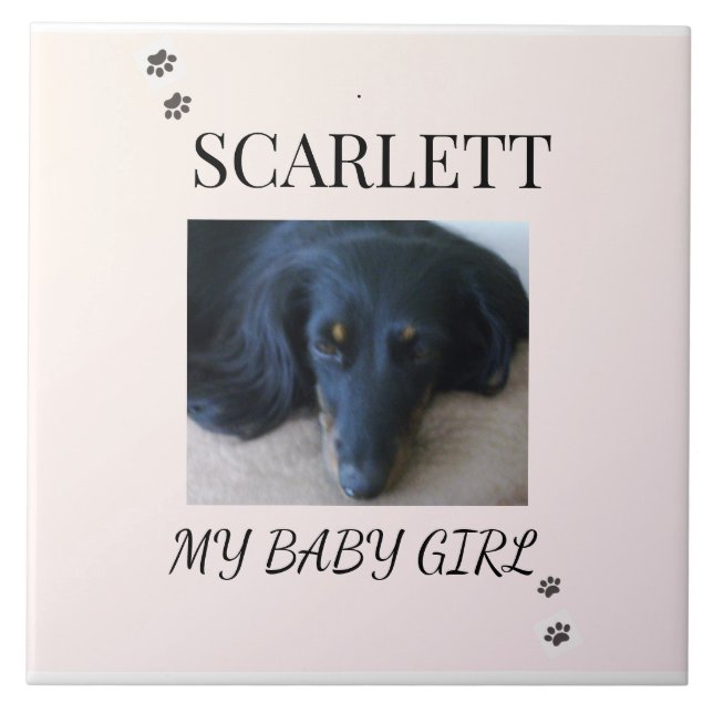 Azulejo Blush Minimal Pet 1 Photo with Paw Prints (Frente)