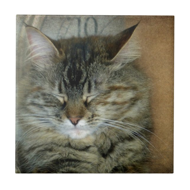 Azulejo Bob (Frente)