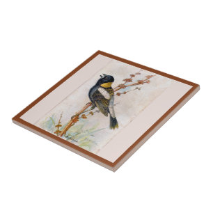 Azulejo Bobolink Gran Ave Cerámica Tile
