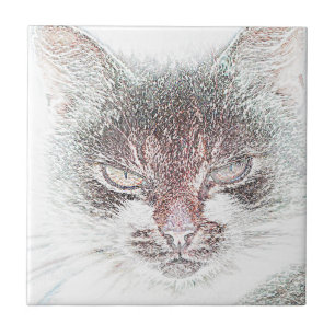 Azulejo Boceto de Cara de Gato Enfadado y Lindo