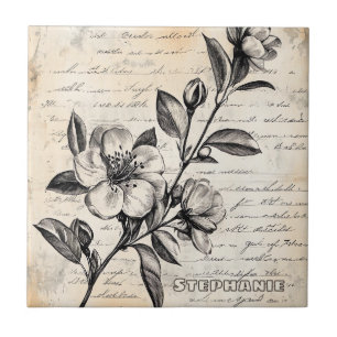 Azulejo Boho Floral Marrón Boceto Pergamino Antiguo